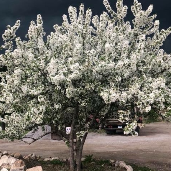 Meet your Posher, Danjela - Picture 1 of 1